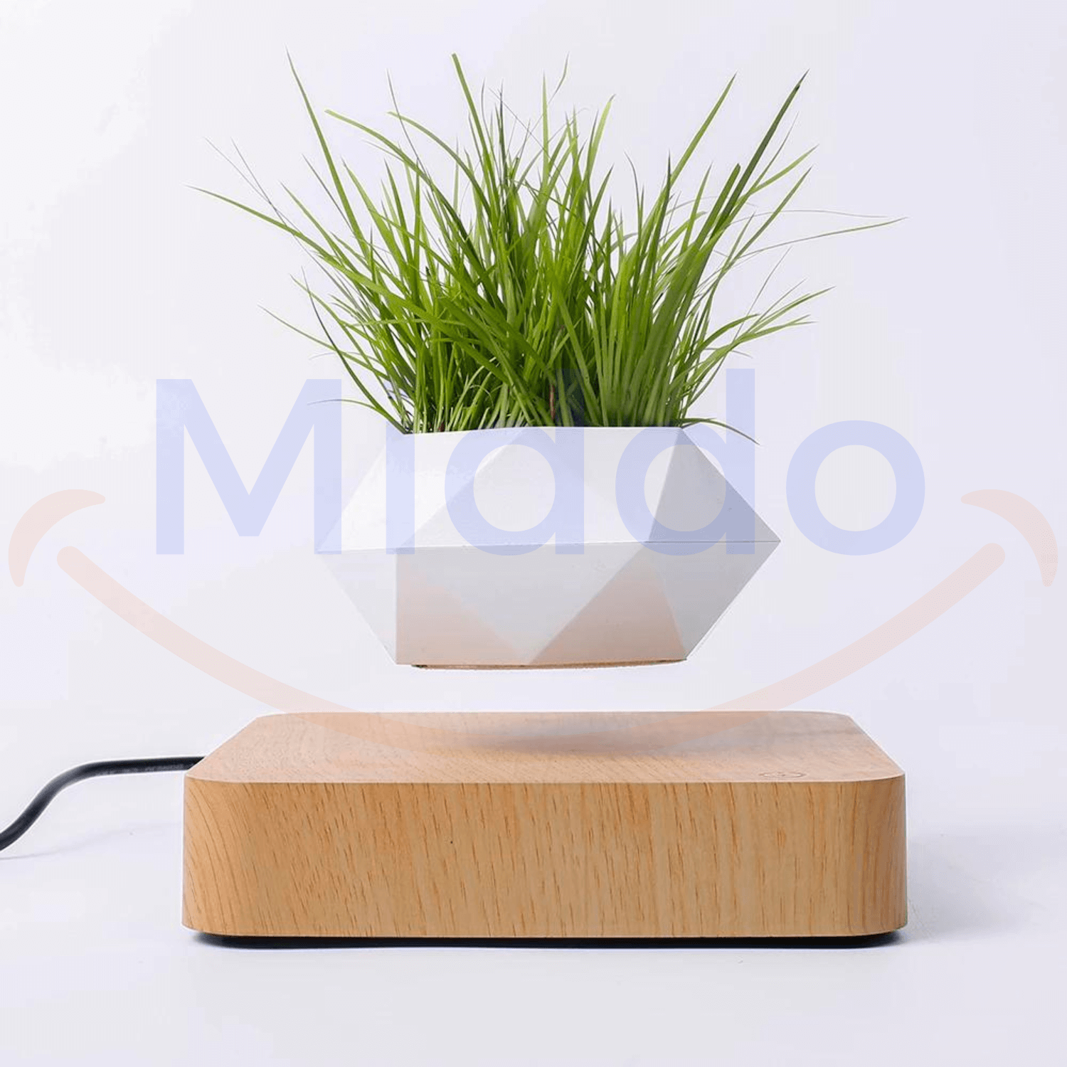 FloatPot™ | Magical Floating Plant Pot for Modern Home Decoration