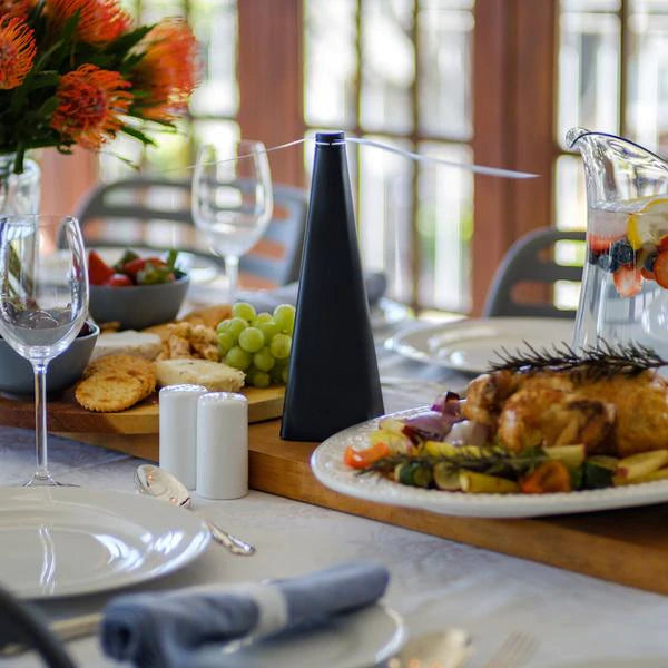 Fly Fan™ | Keep flies and insects away from your food!