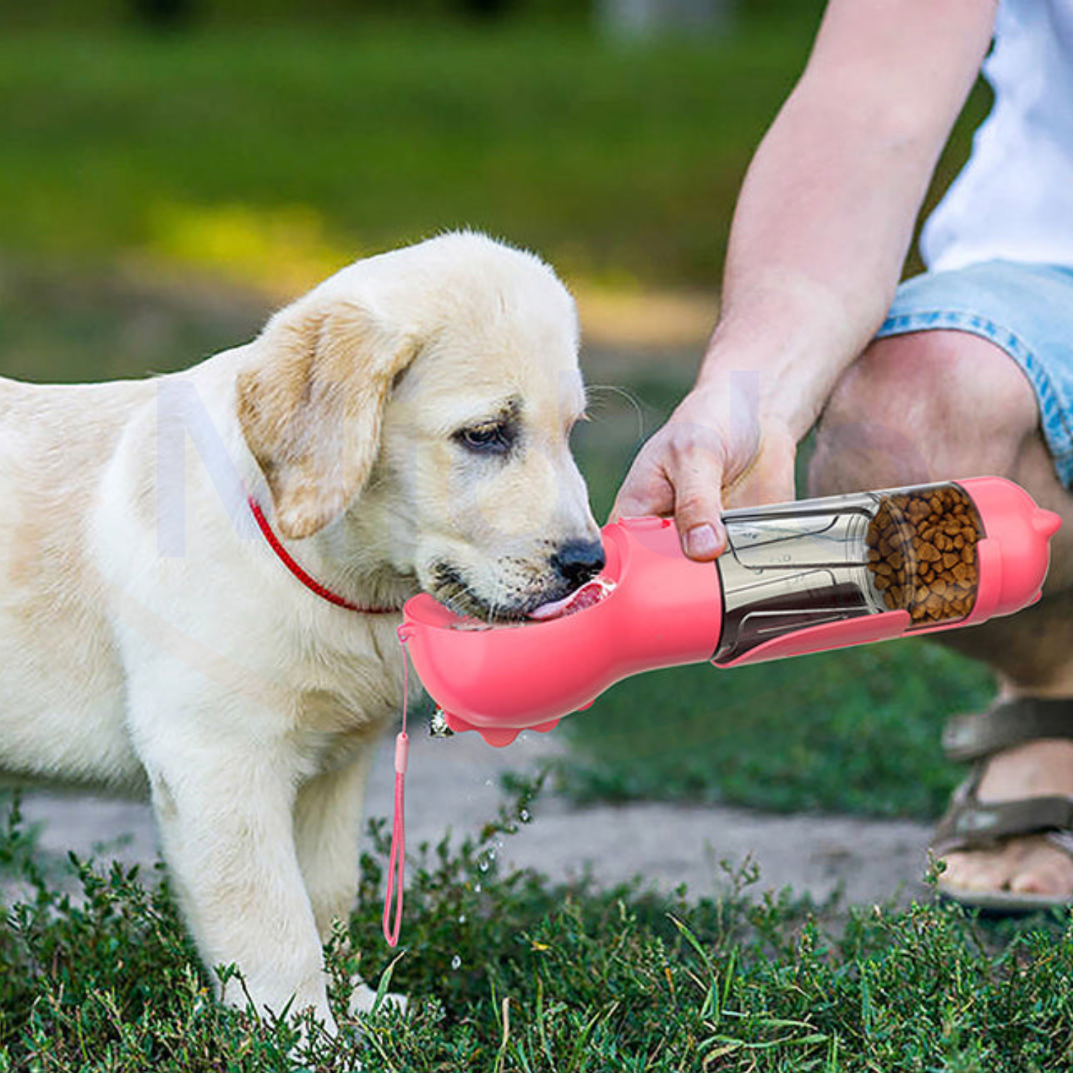 Furry Feeder™ | The 5-in-1 Water Bottle for Your Dog!