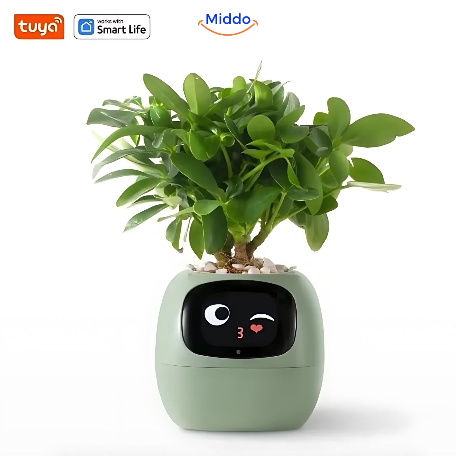 Happy Ivy™ - SMART Pot for Automatic Plant Care