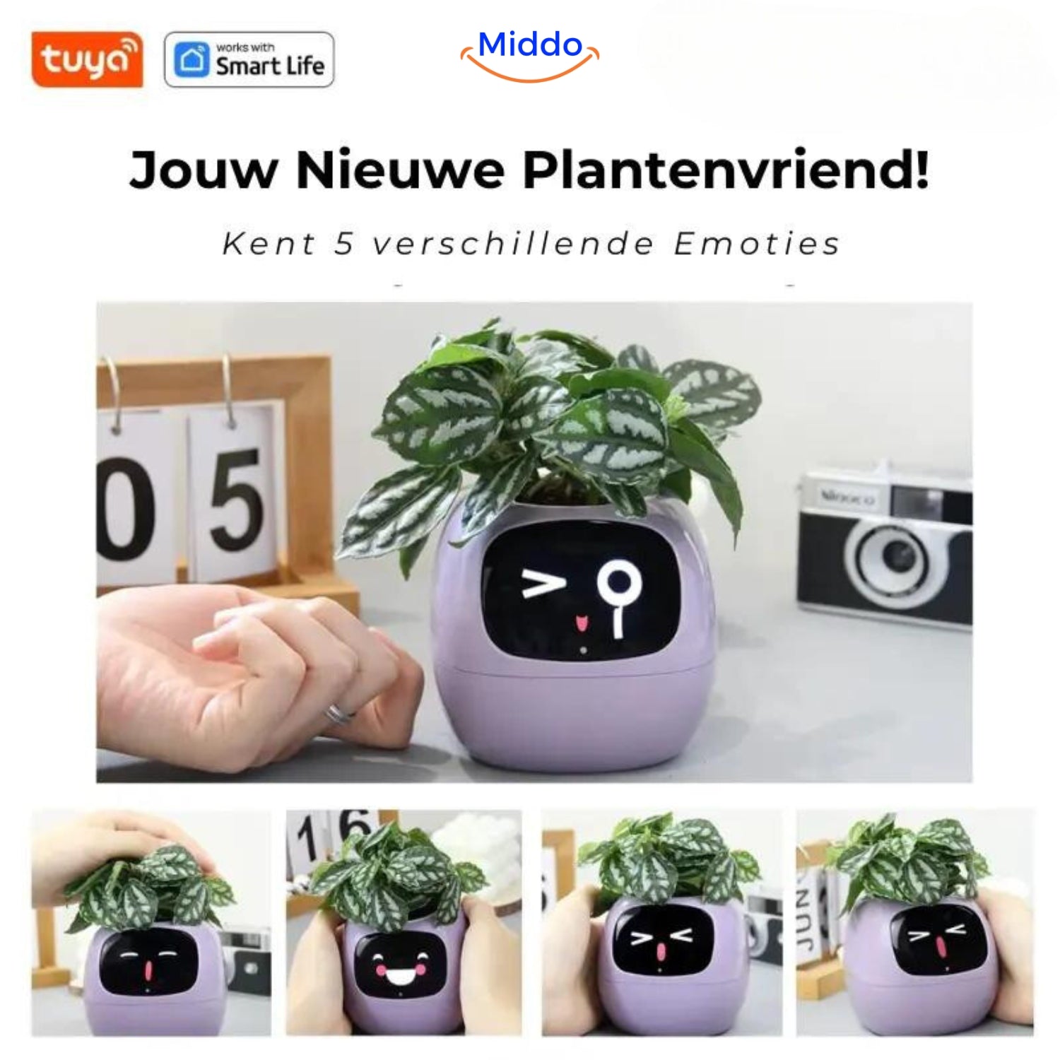 Happy Ivy™ - SMART Pot for Automatic Plant Care