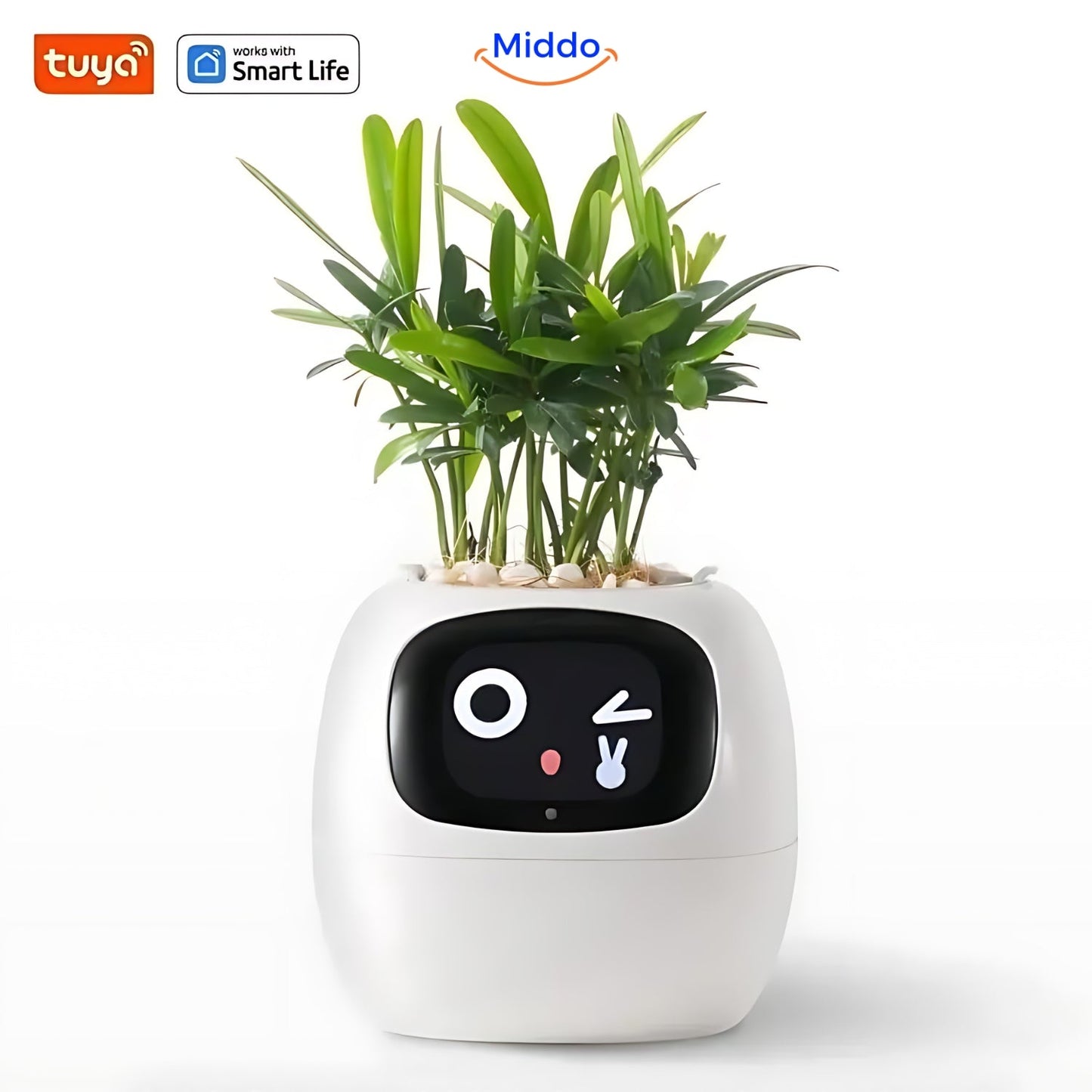 Happy Ivy™ - SMART Pot for Automatic Plant Care