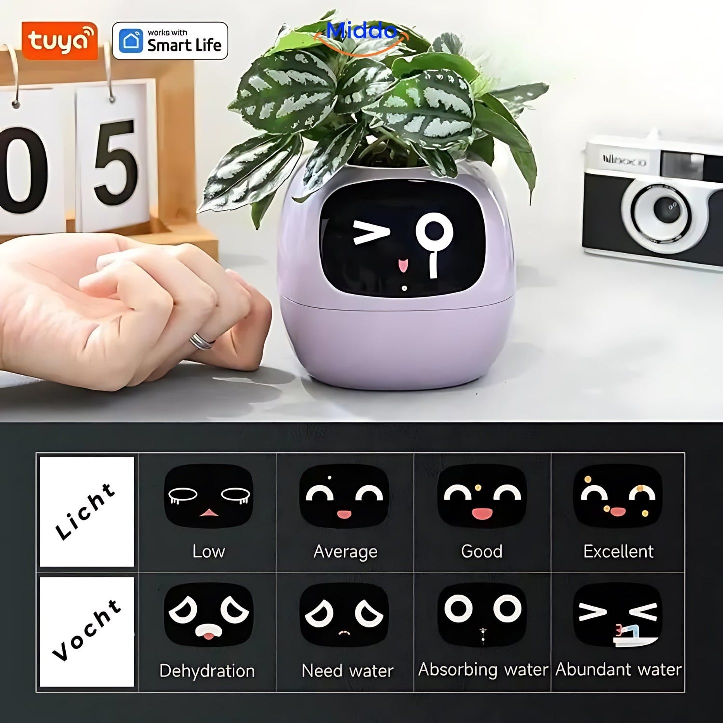 Happy Ivy™ - SMART Pot for Automatic Plant Care