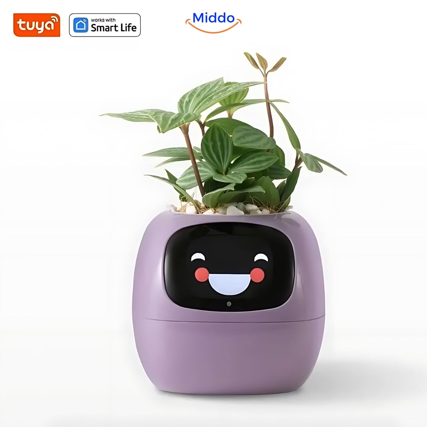 Happy Ivy™ - SMART Pot for Automatic Plant Care
