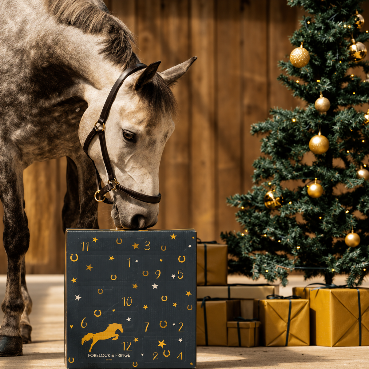 Horse Advent Calendar 2026