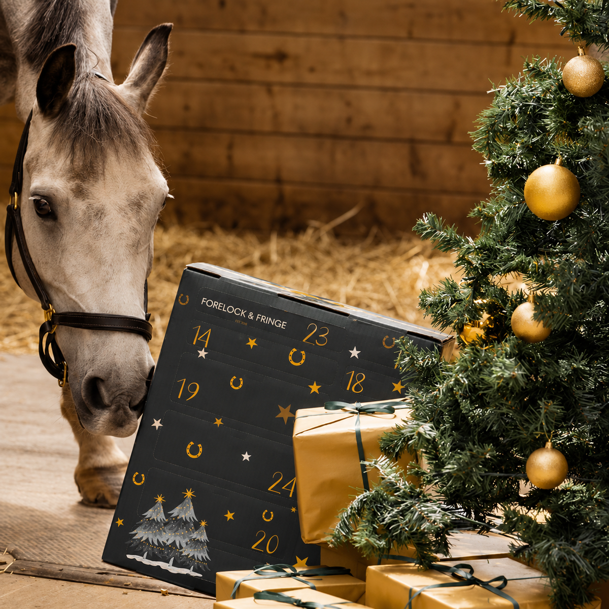 Horse Advent Calendar 2026