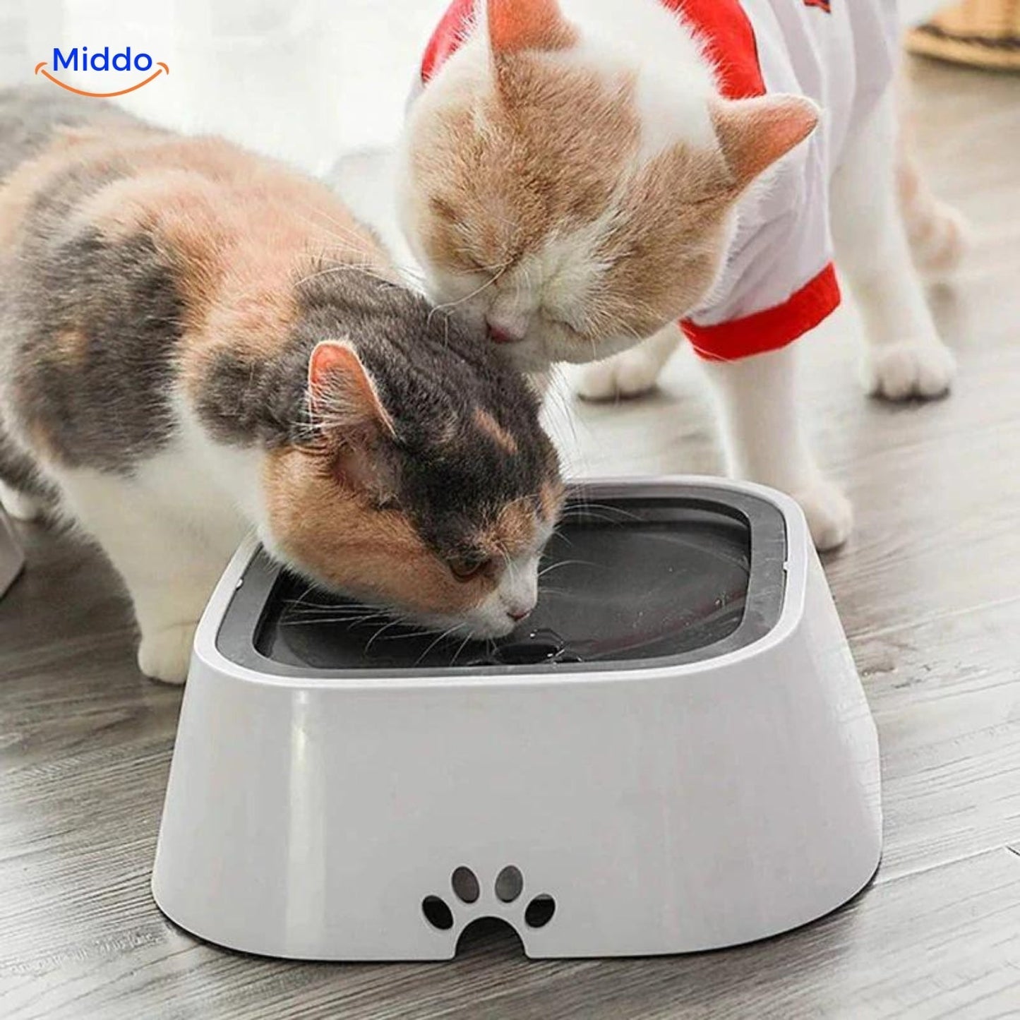 HydroPaws™ Anti-Splash Dog Water Bowl. Prevent Slips, Think of Your Safety!