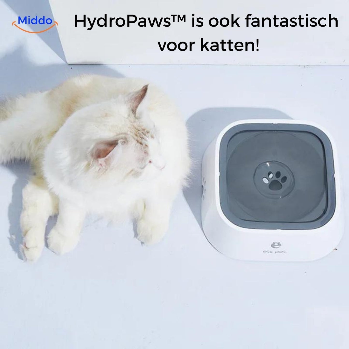 HydroPaws™ Anti-Splash Dog Water Bowl. Prevent Slips, Think of Your Safety!