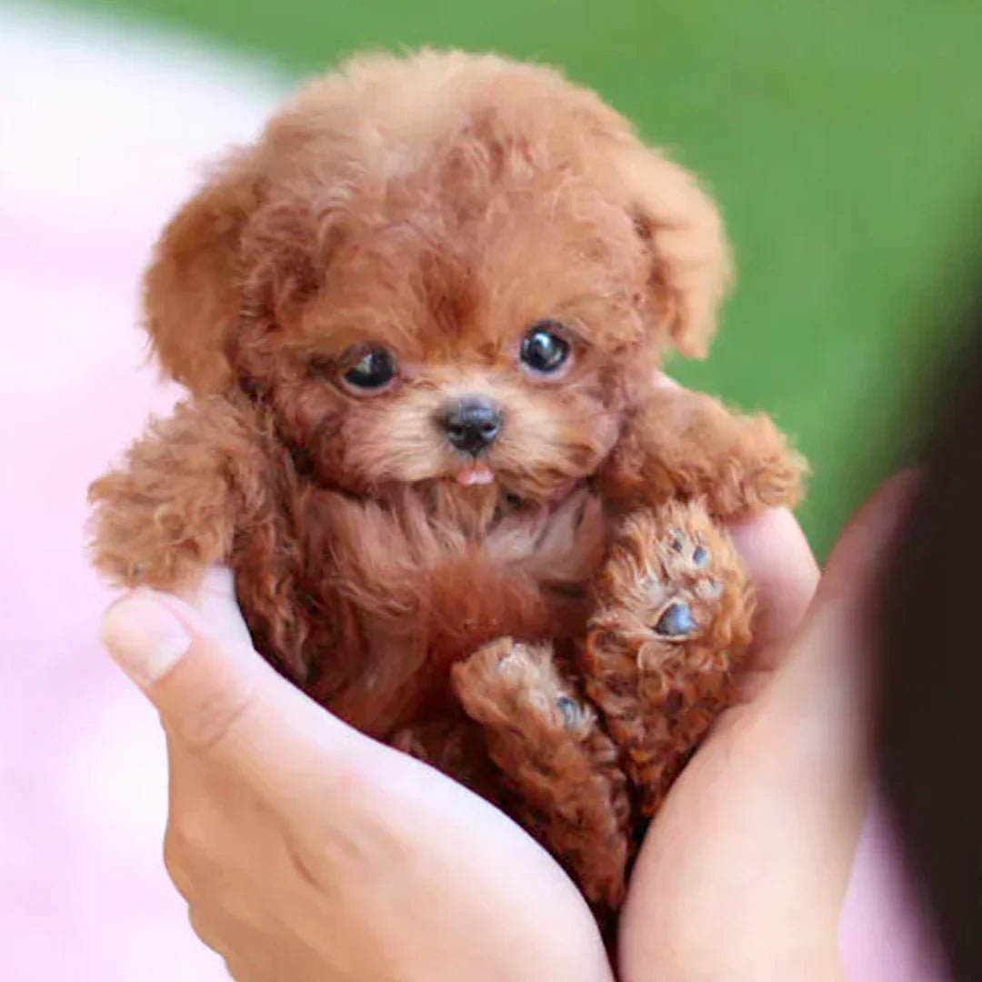 Hyperrealistic Plush Puppy - Life-like Movements