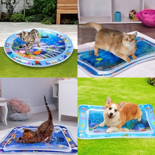 Interactive Pet Water Play Mat for Cats