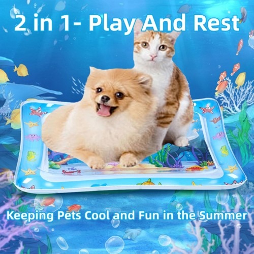 Interactive Pet Water Play Mat for Cats
