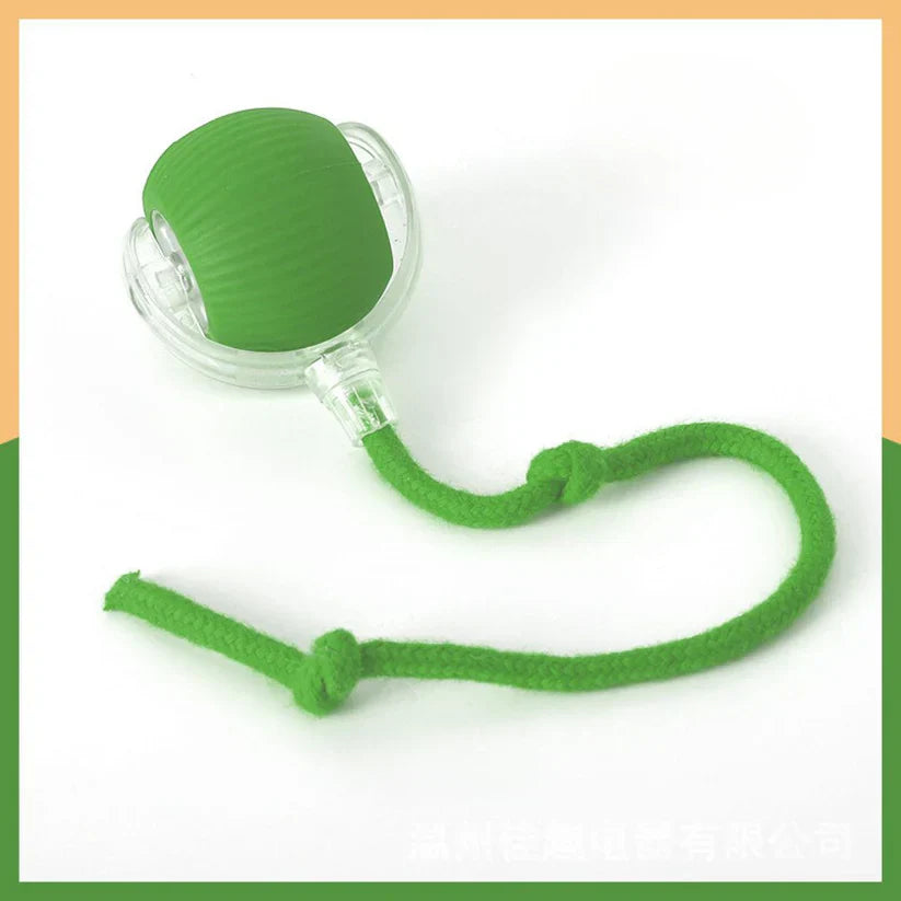 Interactive Play Ball with Tail for Cats