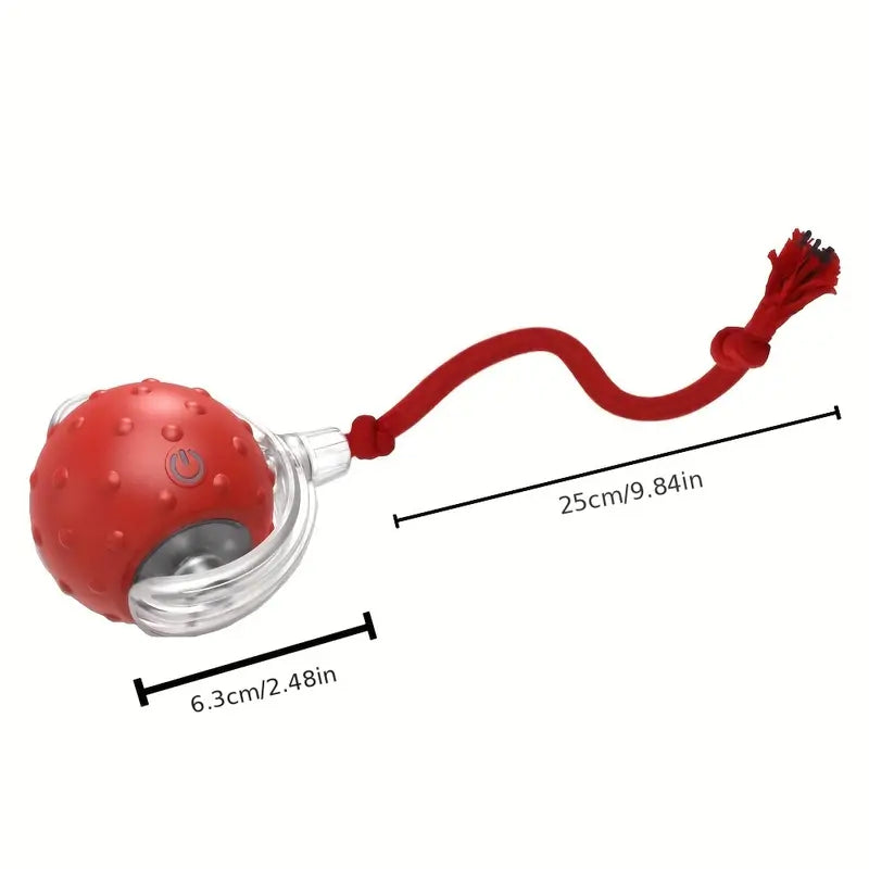 Interactive Play Ball with Tail for Cats