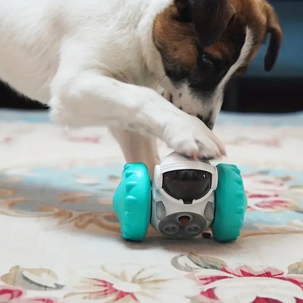 Interactive Robot Feeder Dispenser – Fun for Both Dogs and Cats!