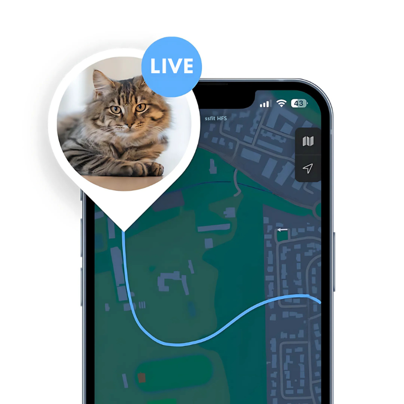KaTrack™ – Intelligent GPS Pet Tracker