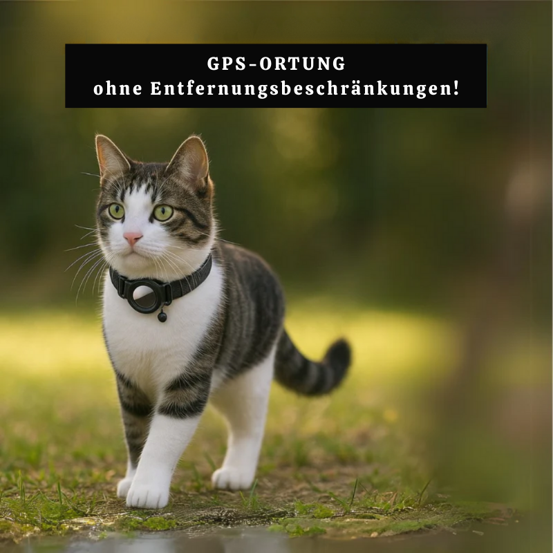 KaTrack™ – Intelligent GPS Pet Tracker
