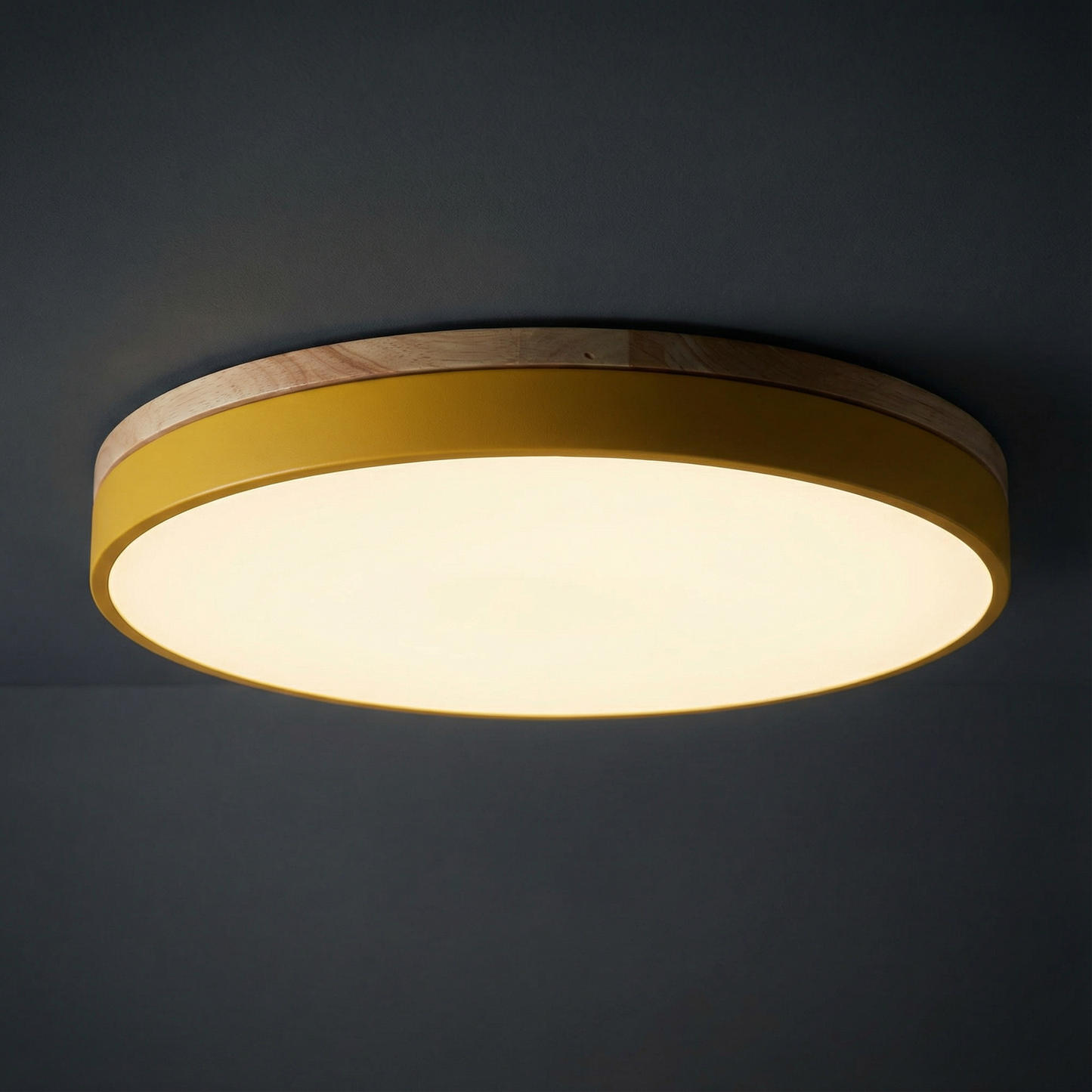 LED Ceiling Lamp with Stepless Dimming and Remote Control – Modern Round Ceiling Light for Living Rooms