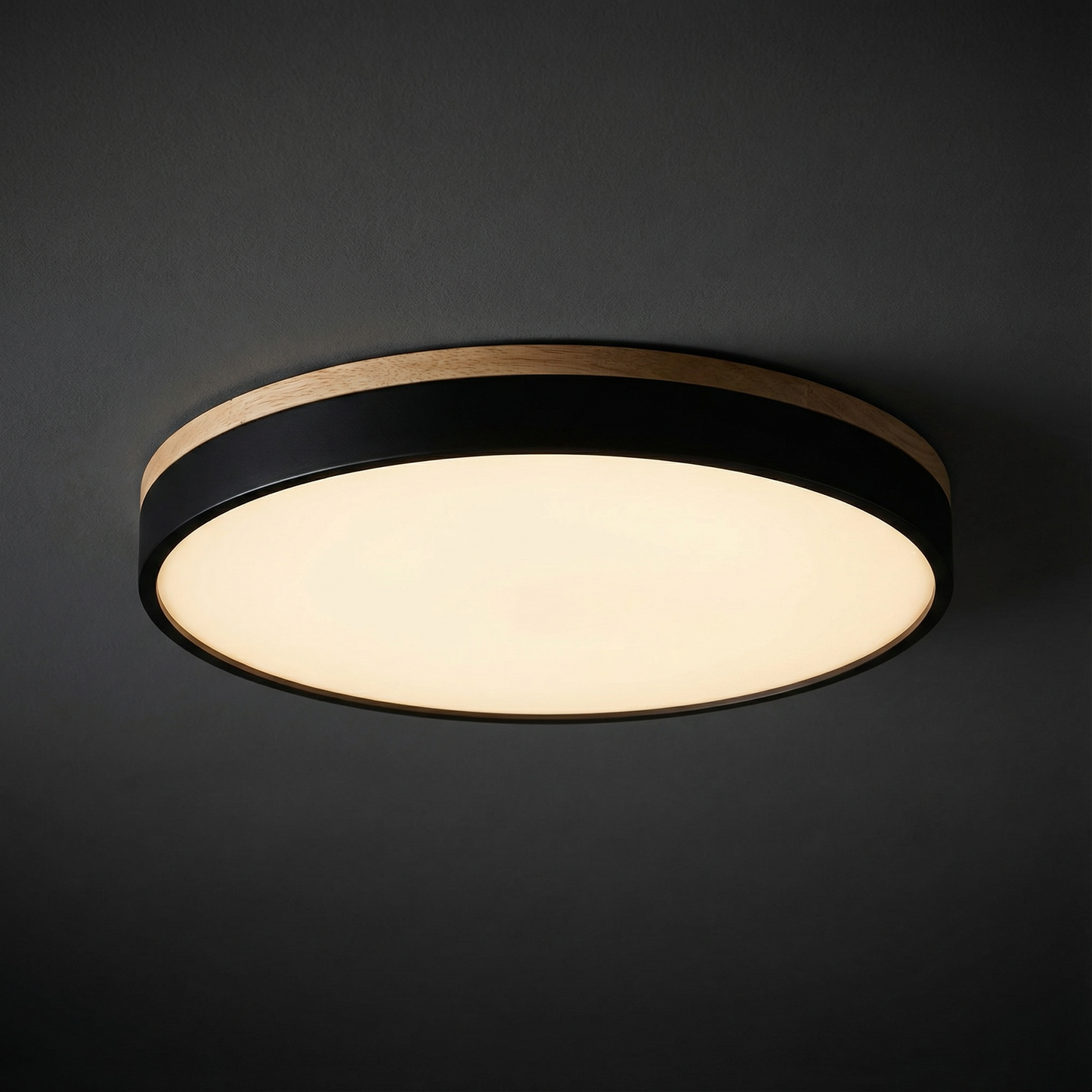 LED Ceiling Lamp with Stepless Dimming and Remote Control – Modern Round Ceiling Light for Living Rooms