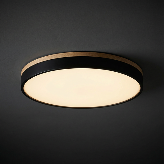 LED Ceiling Lamp with Stepless Dimming and Remote Control – Modern Round Ceiling Light for Living Rooms