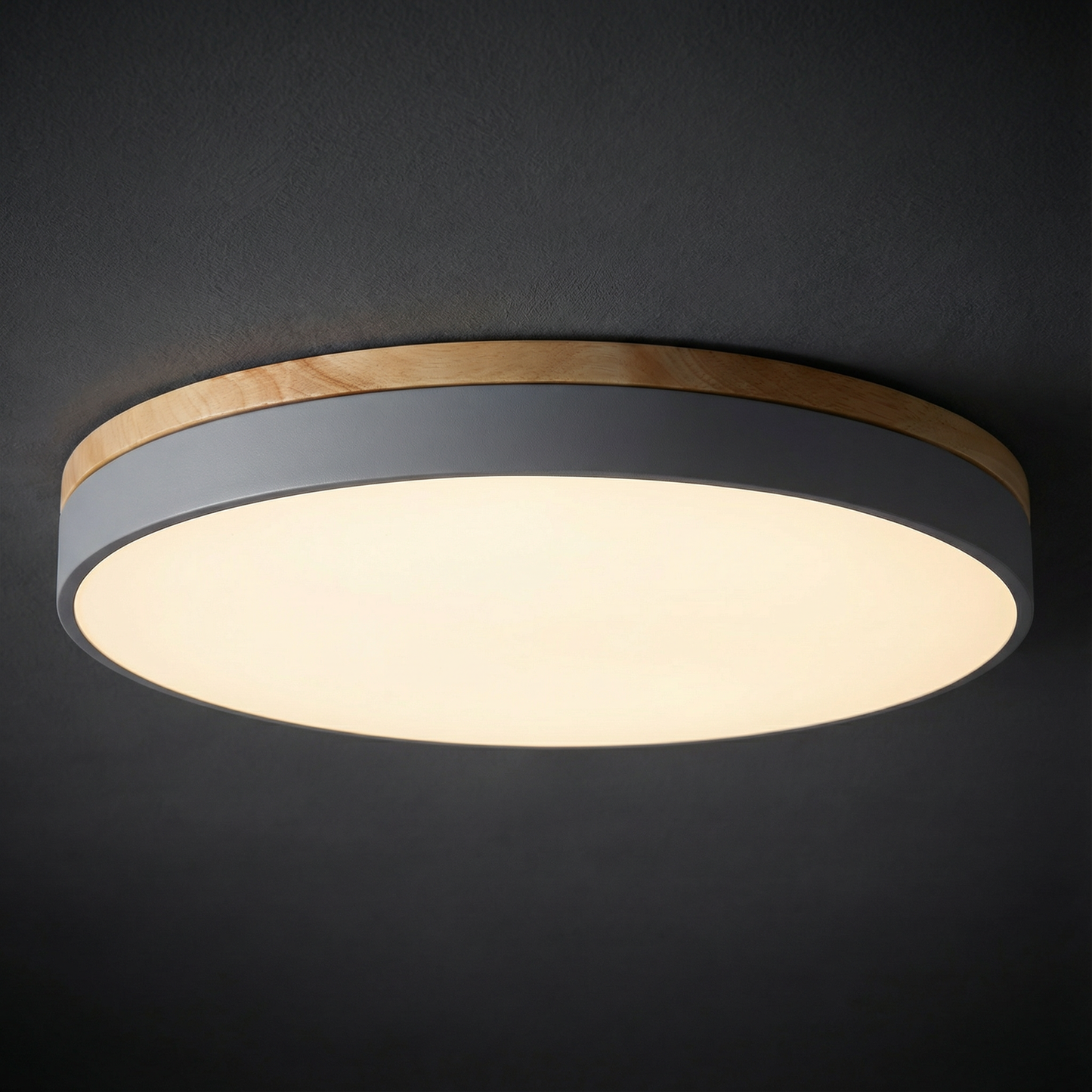 LED Ceiling Lamp with Stepless Dimming and Remote Control – Modern Round Ceiling Light for Living Rooms