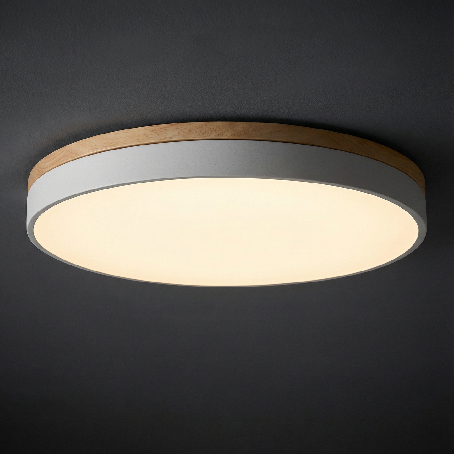 LED Ceiling Lamp with Stepless Dimming and Remote Control – Modern Round Ceiling Light for Living Rooms