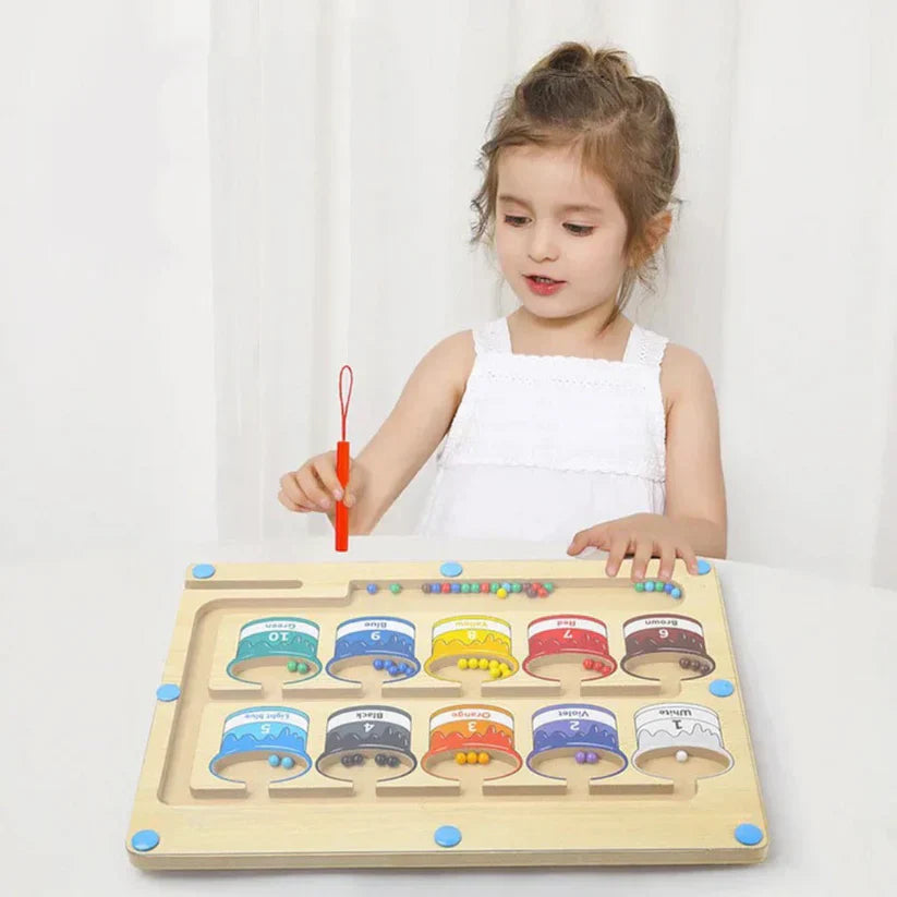 Montessori Magnetic Labyrinth