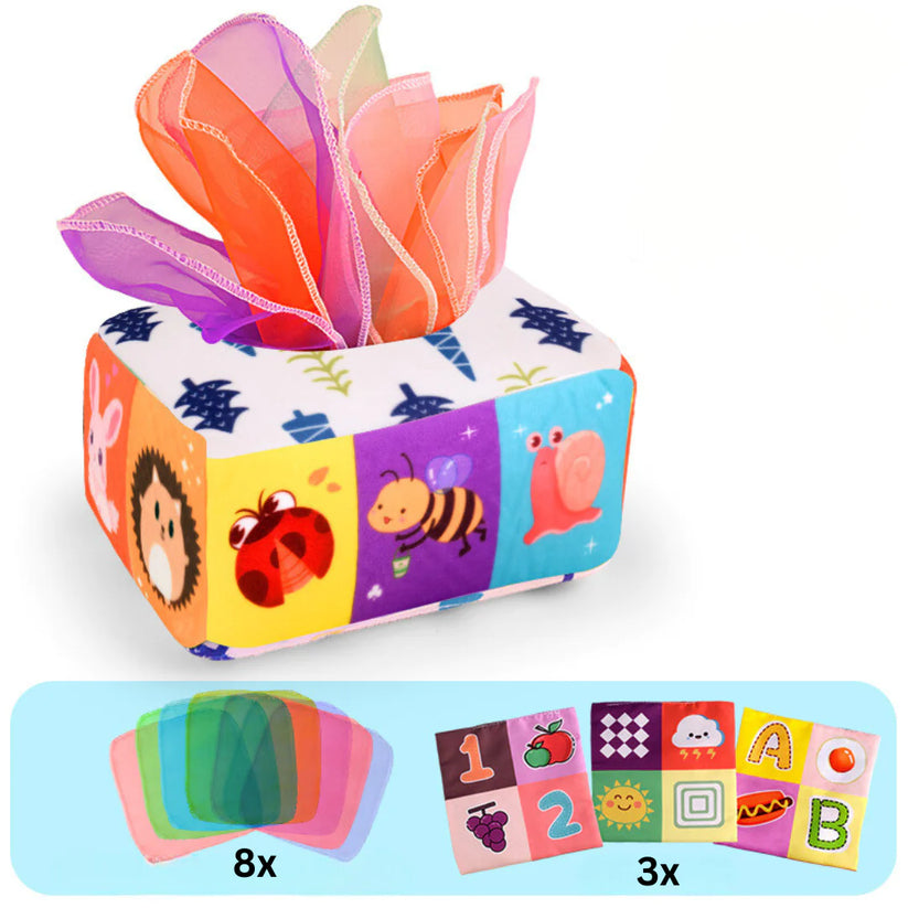 Montessori Tissue Box
