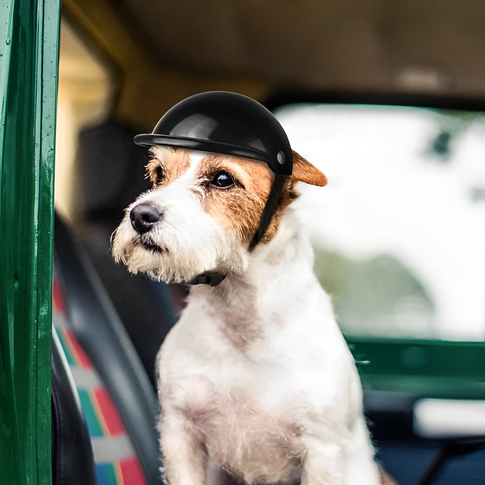 Motor Helmet and Goggles for Dogs | Trendy and Safe