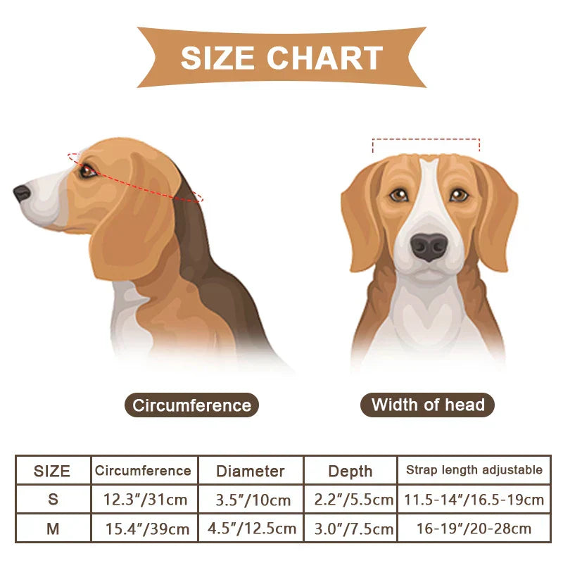 Motor Helmet and Goggles for Dogs | Trendy and Safe