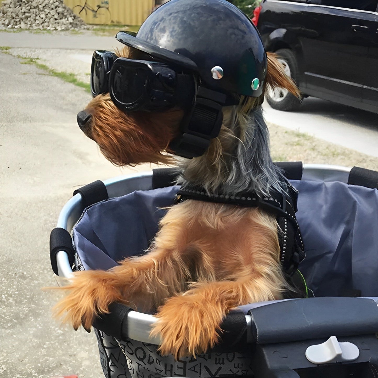Motor Helmet and Goggles for Dogs | Trendy and Safe