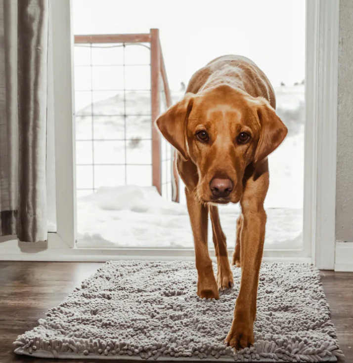 Non-Slip Super Absorbent Dog Mat Made of Microfiber