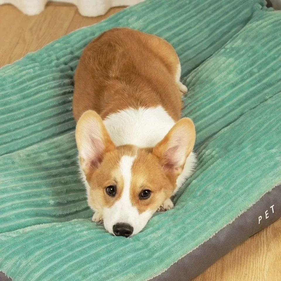 Orthopedic Dog Bed – Cozy and Supportive