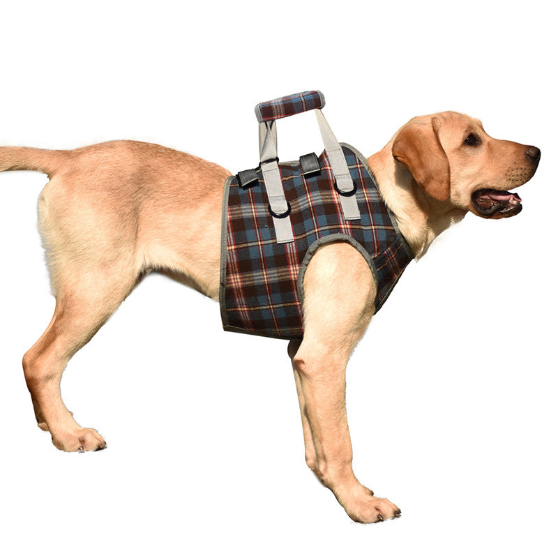 Orthopedic Harness for Hind Legs