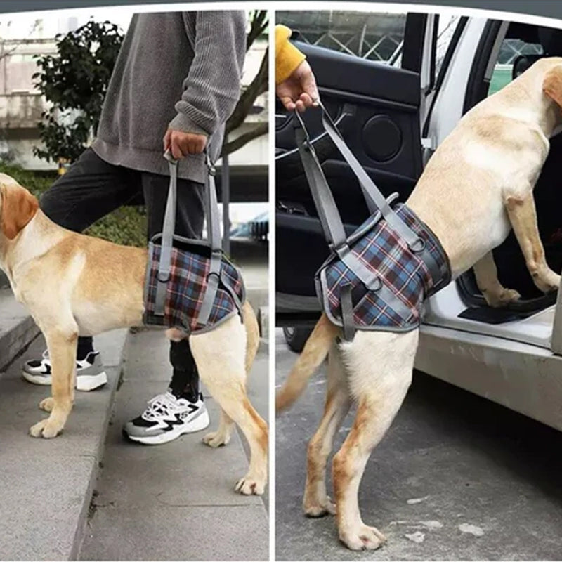 Orthopedic Harness for Hind Legs