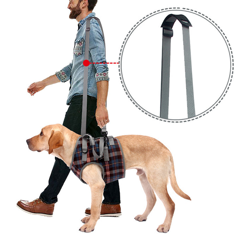 Orthopedic Harness for Hind Legs