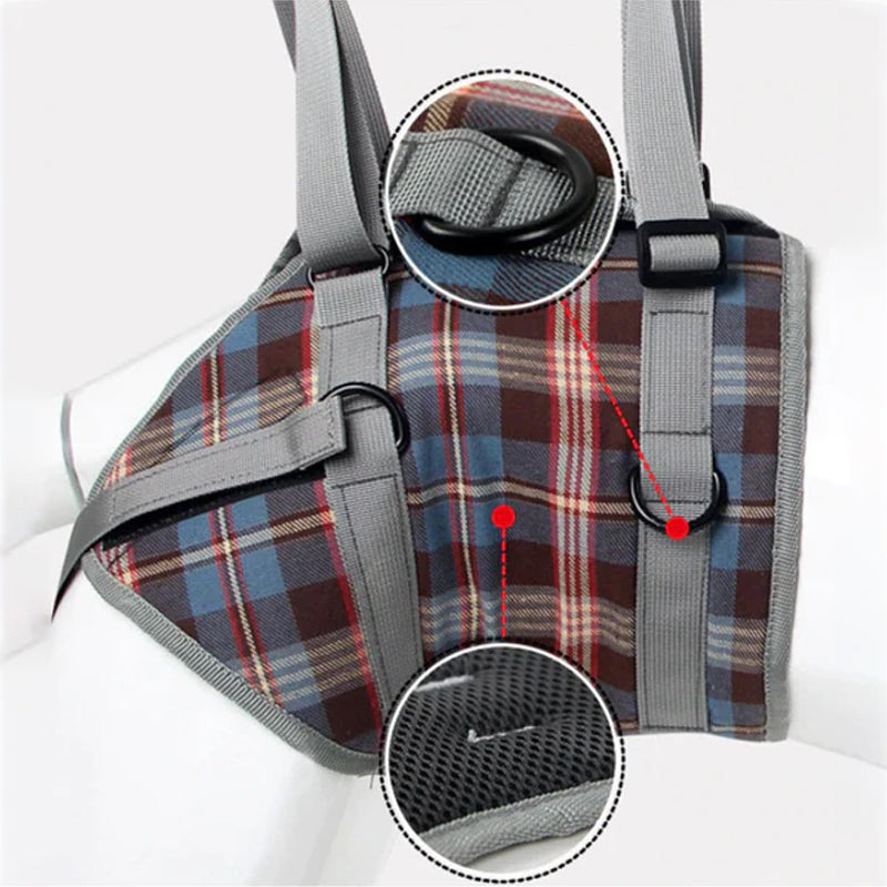Orthopedic Harness for Hind Legs