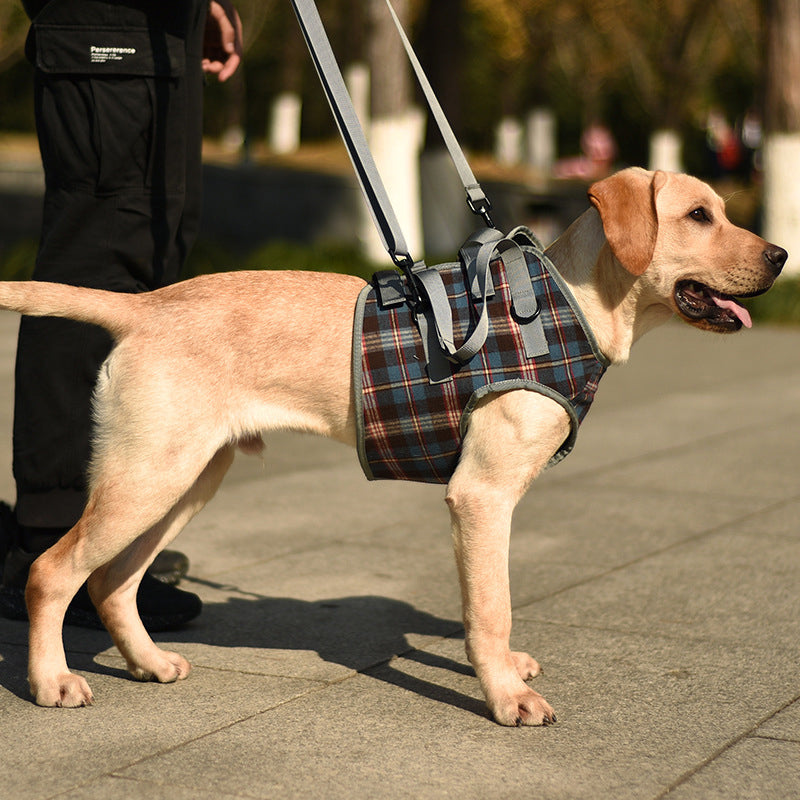 Orthopedic Harness for Hind Legs