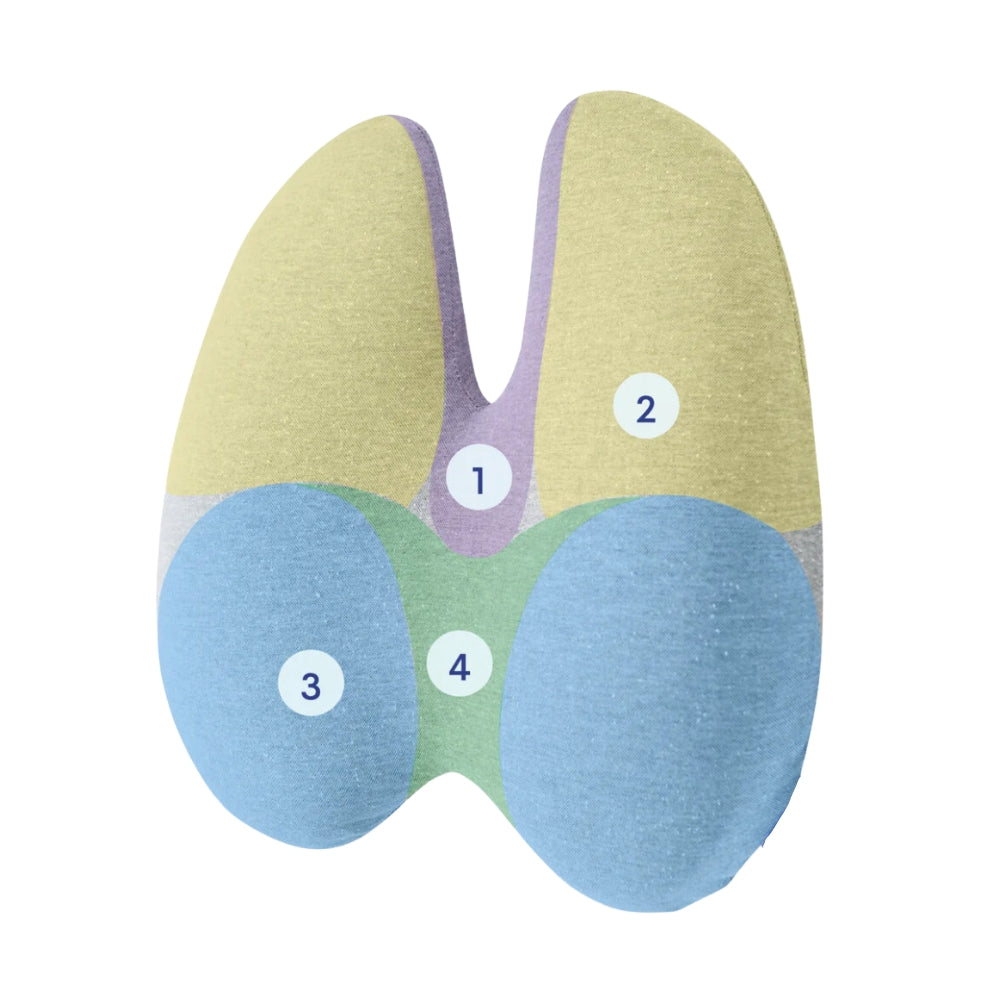 Orthopedic Seat Cushion