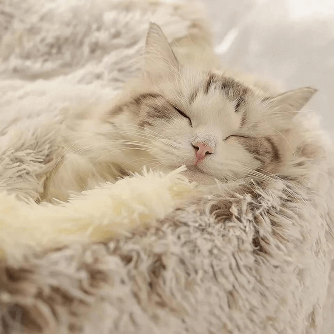 Pet's Comfortable Plush Nest Bed