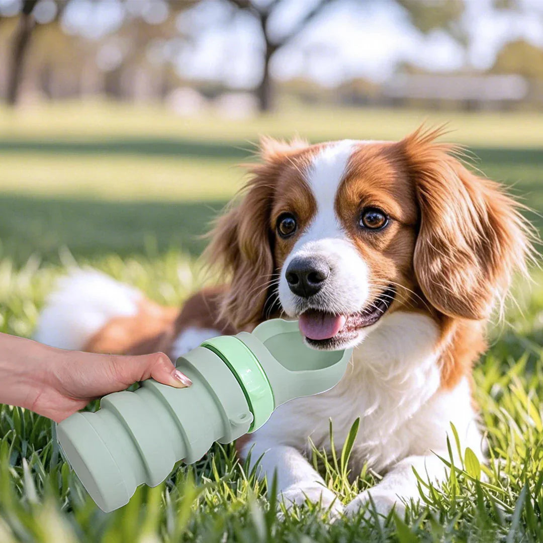 Portable Collapsible Pet Water Bottle