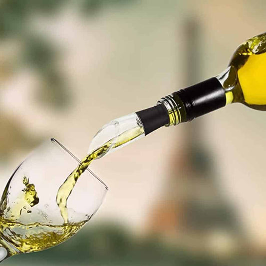 Pouring Stopper and Wine Cooler with Air Filter