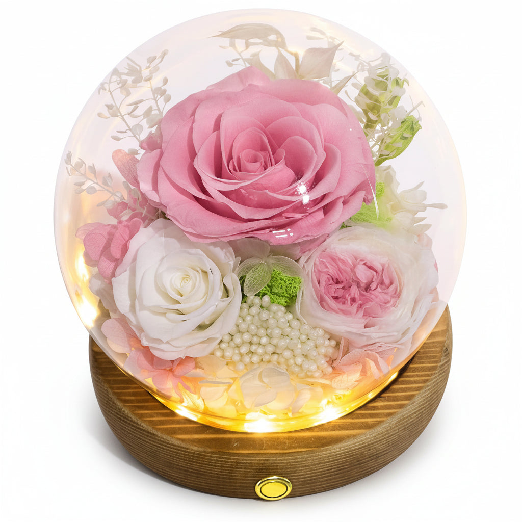 Preserved Rose Glass Dome with Integrated LED Lights