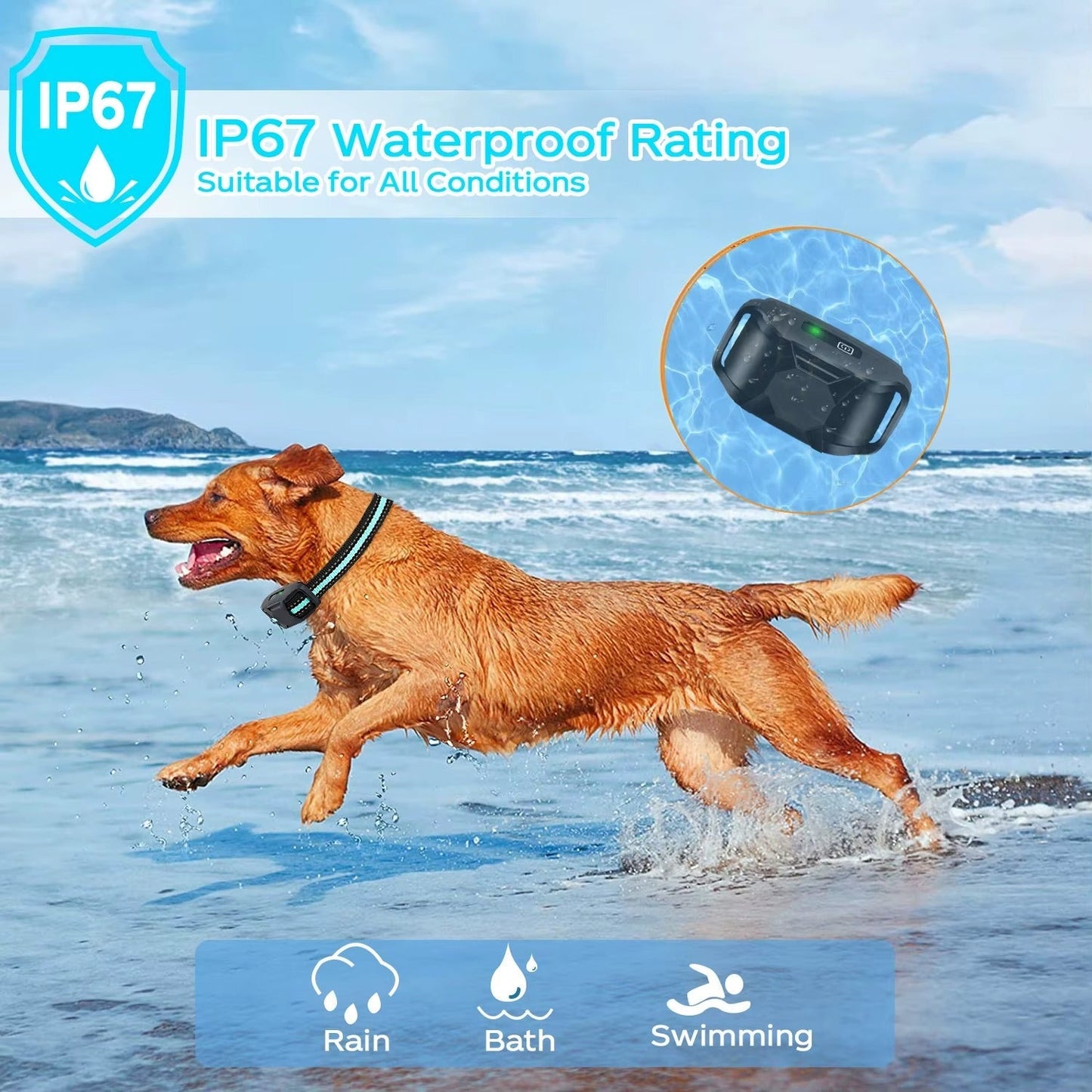 Pro Training Collar - Range 1000m, Waterproof