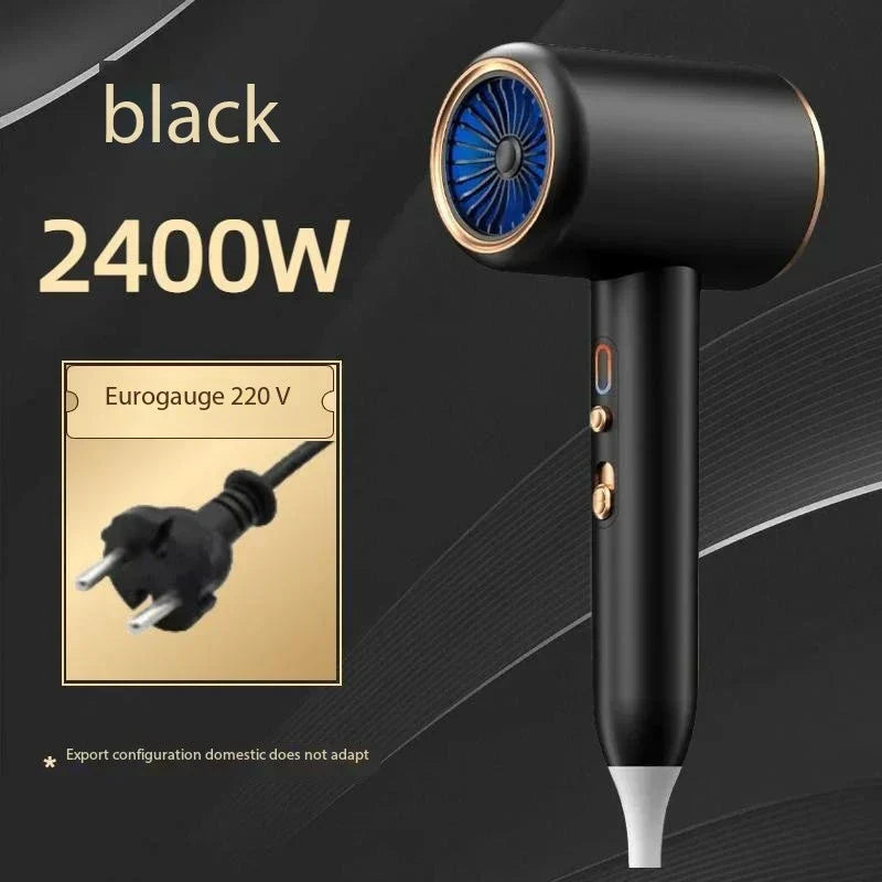 Professional Hair Dryer 2400W with Ion Technology