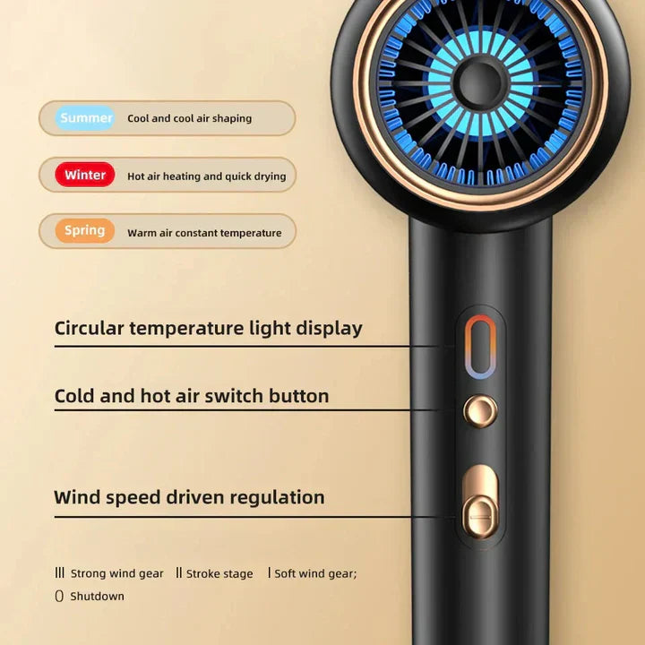 Professional Hair Dryer 2400W with Ion Technology