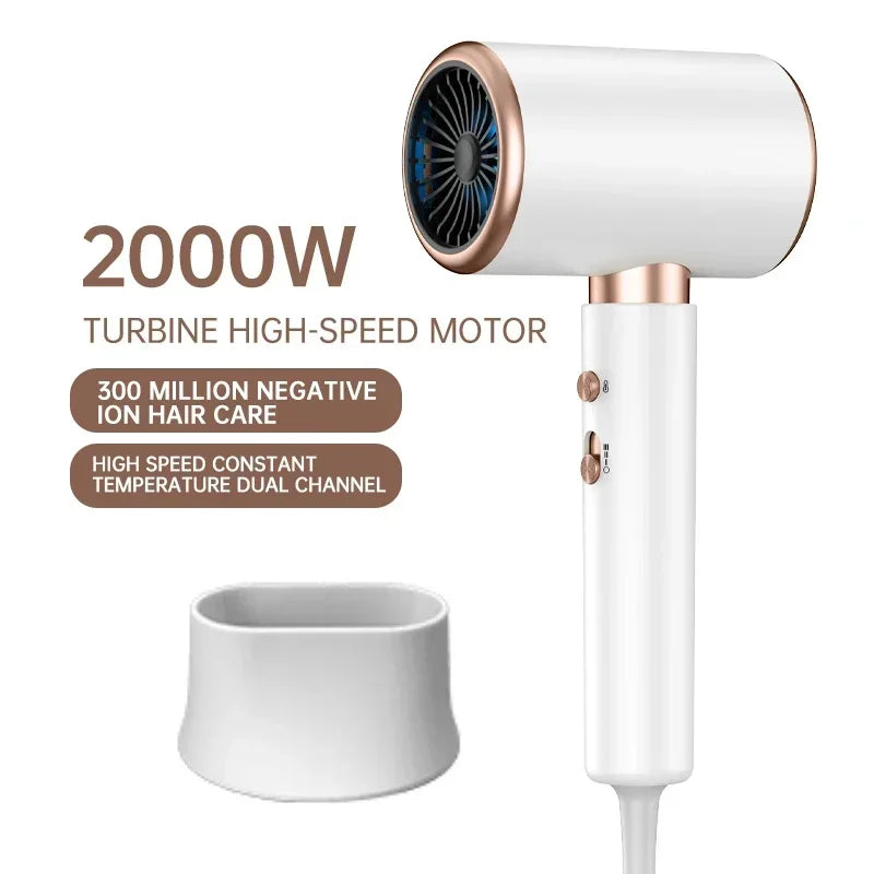 Professional Hair Dryer 2400W with Ion Technology