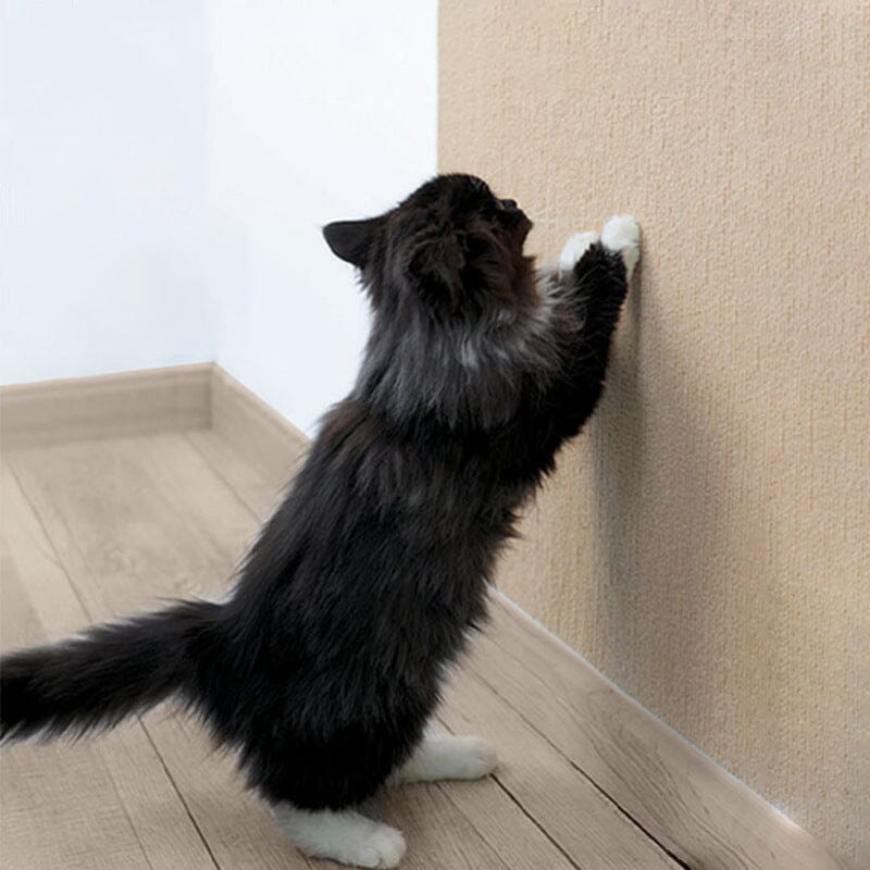 Scratching Mat for Cats - Protect Your Furniture