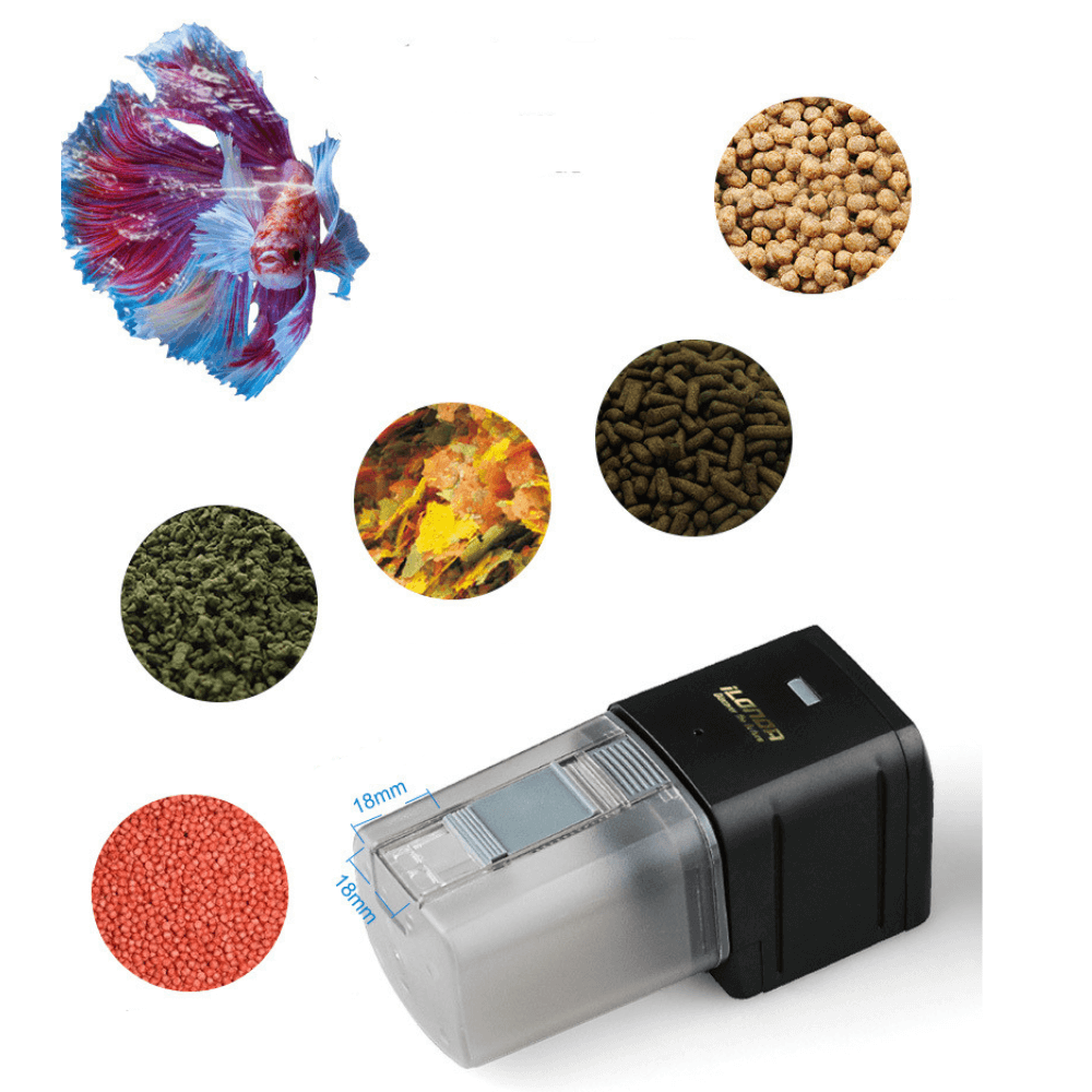 Smart Fish Food Dispenser