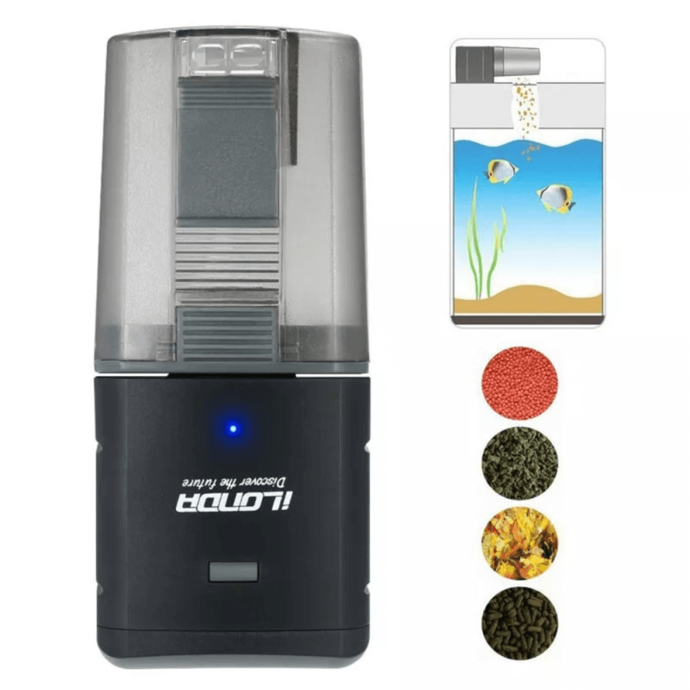 Smart Fish Food Dispenser