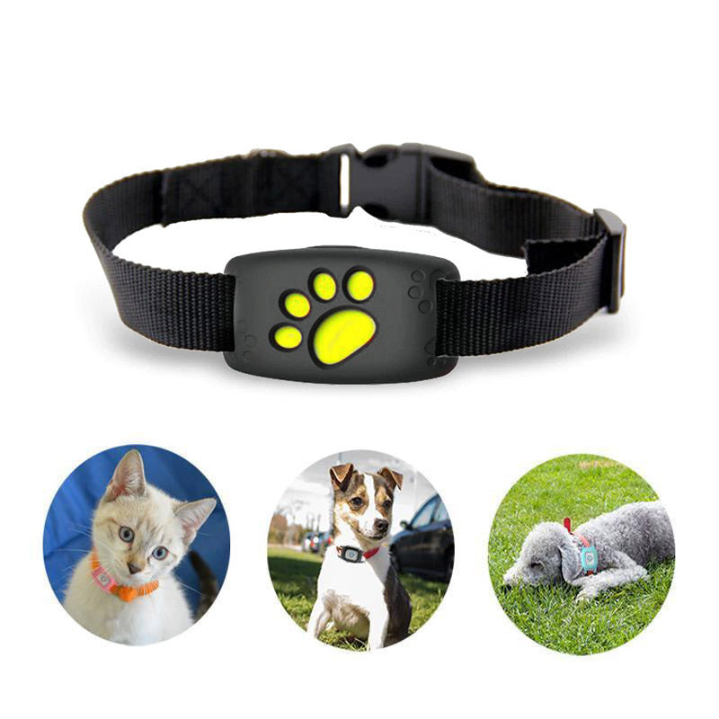 Smart GPS Collar for Cats - Waterproof and No Subscription